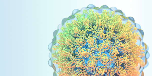 Next-generation ‘molecular scissors’ may offer hope for chronic hepatitis B sufferers 